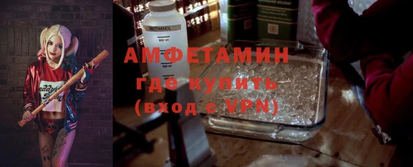 стаф Бородино