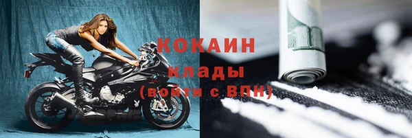 стаф Бородино