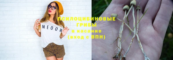 стаф Бородино