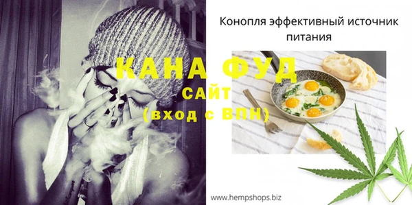 стаф Бородино