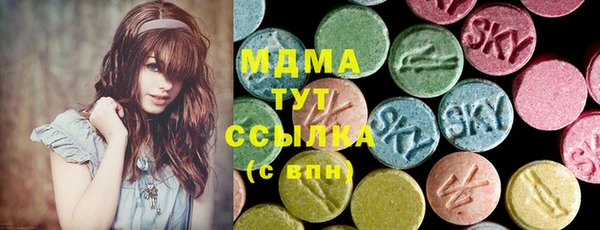 стаф Бородино