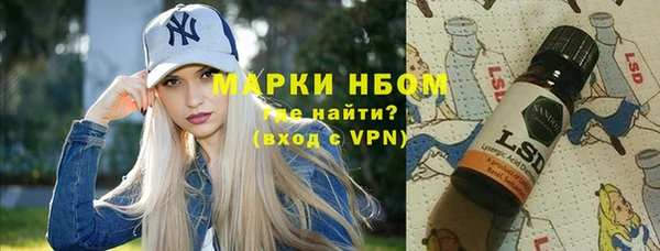 стаф Бородино