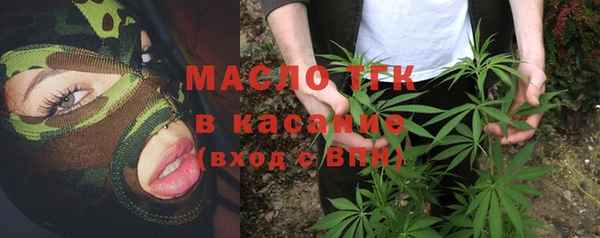 стаф Бородино