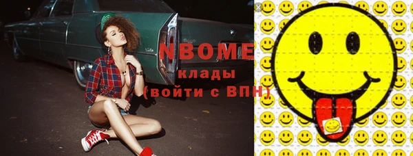 стаф Бородино